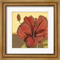 Framed Cropped Sophisticated Hibiscus IV