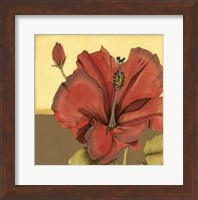 Framed Cropped Sophisticated Hibiscus IV