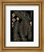 Framed Small Dramatic Conifers III