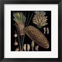 Framed Small Dramatic Conifers VI