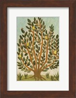 Framed Tree Of Life I