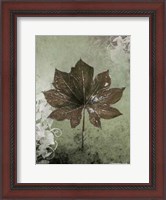Framed Dry Leaf I