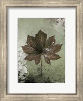Framed Dry Leaf I