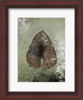 Framed Dry Leaf II