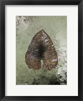 Dry Leaf II Framed Print