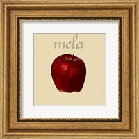 Framed Italian Fruit VIII