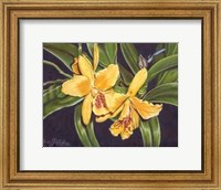 Framed Vibrant Orchid I