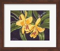 Framed Vibrant Orchid I