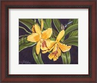 Framed Vibrant Orchid I
