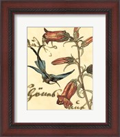 Framed 'Small Hummingbird Reverie I' border=