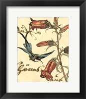 Framed 'Small Hummingbird Reverie I' border=