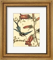 Framed Small Hummingbird Reverie I