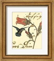 Framed 'Small Hummingbird Reverie III' border=