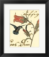 Framed Small Hummingbird Reverie III