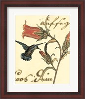 Framed Small Hummingbird Reverie III