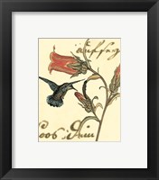 Framed 'Small Hummingbird Reverie III' border=