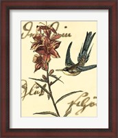 Framed Small Hummingbird Reverie IV