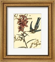 Framed Small Hummingbird Reverie IV