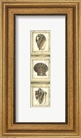 Framed Mini Rustic Shell Panel I