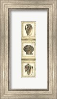 Framed Mini Rustic Shell Panel I