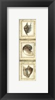 Framed Mini Rustic Shell Panel II