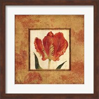 Framed Les Tulipes II