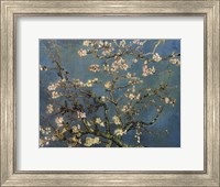 Framed Blossoming Almond Tree, Saint-Remy, c.1890