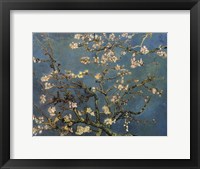 Framed Blossoming Almond Tree, Saint-Remy, c.1890