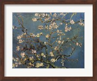 Framed Blossoming Almond Tree, Saint-Remy, c.1890