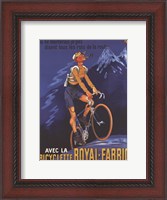 Framed Cycles Royal Fabric