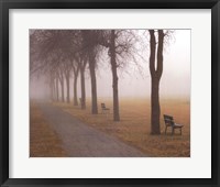 Framed Foggy Day