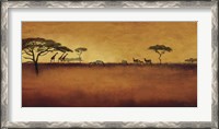 Framed Serengeti I