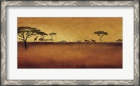 Framed Serengeti I