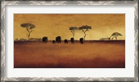 Framed Serengeti II