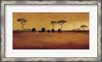 Framed Serengeti II