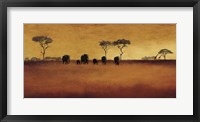 Serengeti II Framed Print