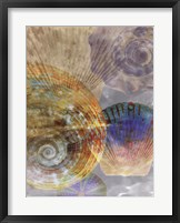 Framed Shell Suite III