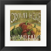 From The Market I Framed Print