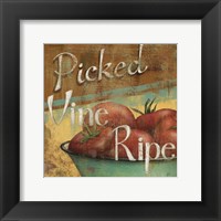 From The Market III Framed Print