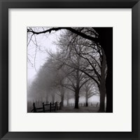 Framed Black and White Morning