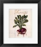 Framed Turnips