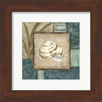 Framed Shell Montage III