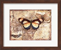 Framed Poetic Butterfly I