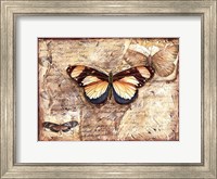 Framed Poetic Butterfly I