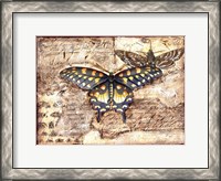 Framed Poetic Butterfly II