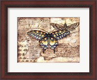 Framed Poetic Butterfly II