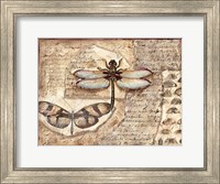 Framed Poetic Dragonfly I