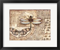 Poetic Dragonfly I Framed Print