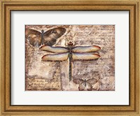 Framed Poetic Dragonfly II