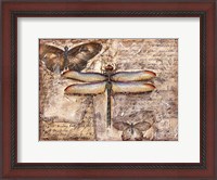 Framed Poetic Dragonfly II
